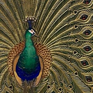 Omar Khayyam-The Rubaiyat Perfume Oil
