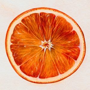Blood Orange Perfume Oil Blood Orange Perfume Oil